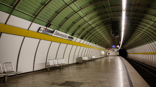Terrestre